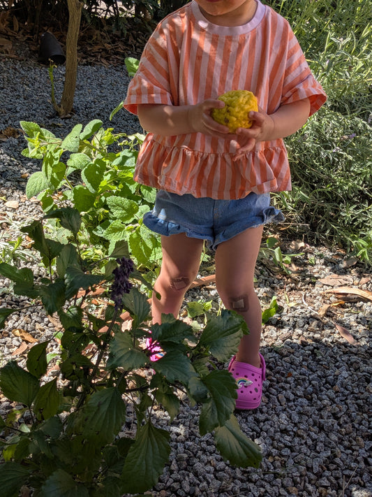 Remy Ruffle Shorts